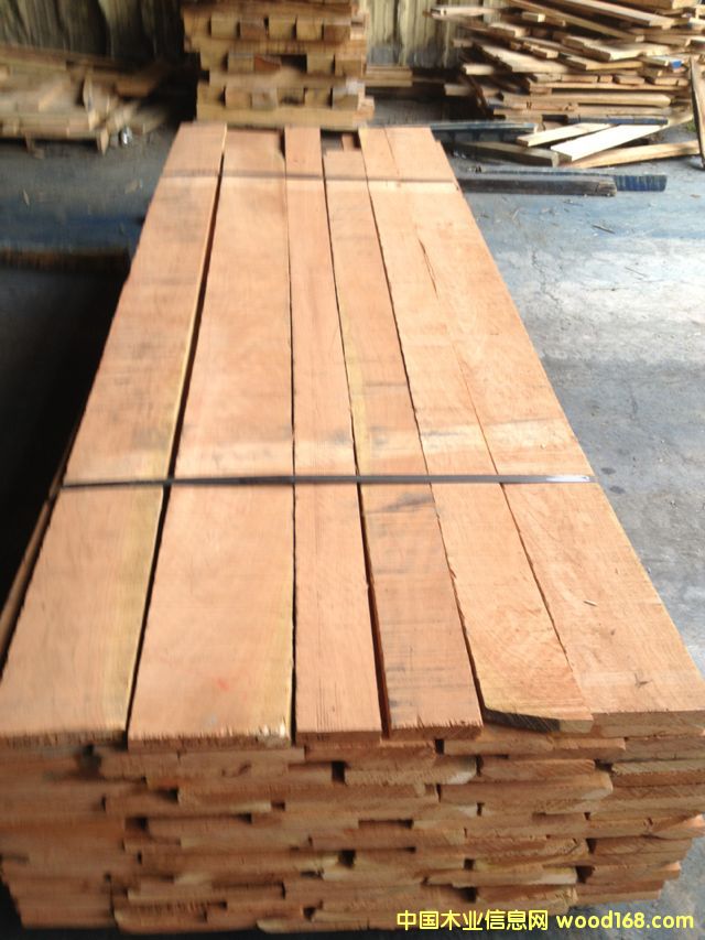 櫻桃木的詳細(xì)介紹