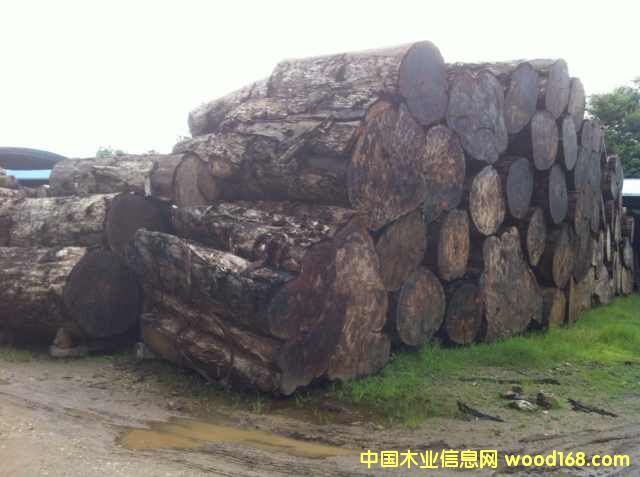 ��˹�/ˮ�t��/����ľ��Ԕ��(x��)��B