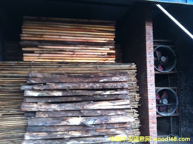 �t��������Ԕ��(x��)��B