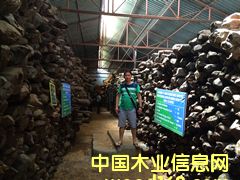 qС�~��̴��Ԕ��(x��)��B