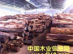 �ϓ��t��֦��Ԕ��(x��)��B