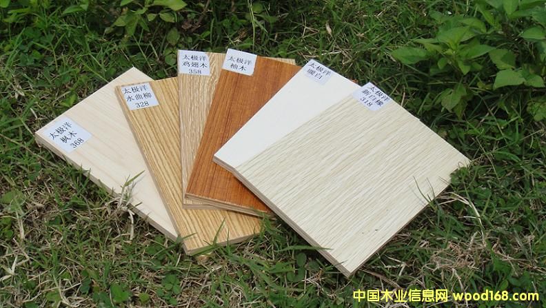 5��Ԕ����B