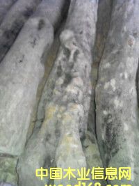 С�~�S���Ԕ��(x��)��B