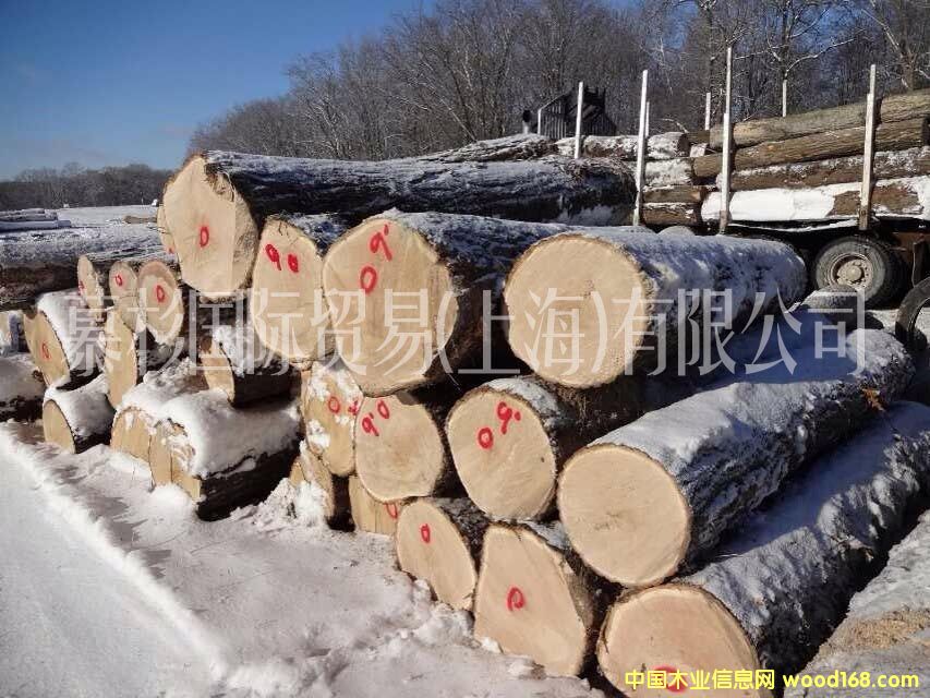 �����t��