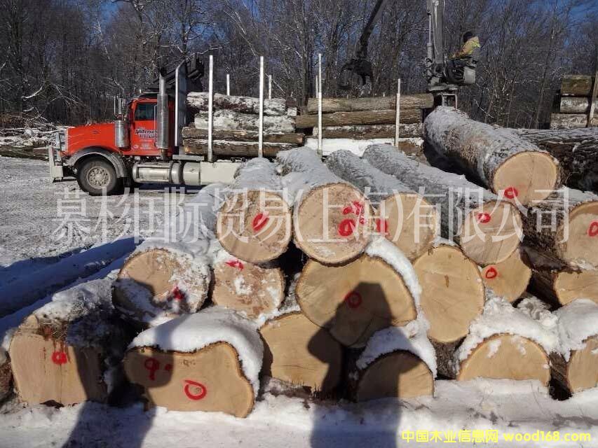 �����t��