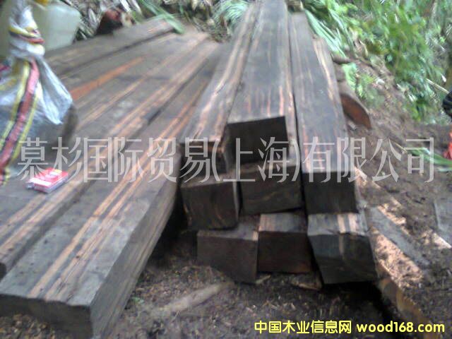 �K��������ľ