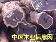 �Ϲ�̴��Ԕ��(x��)��B