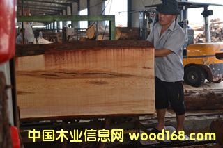 ����ľ��