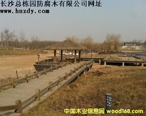 ����ľ������Ԕ��(x��)��B