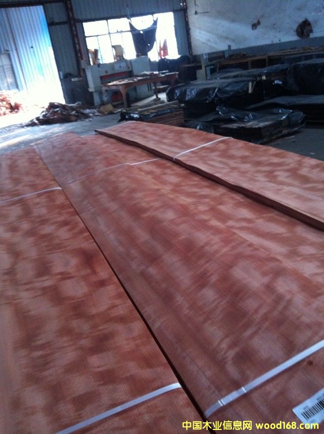 ������Ӱ ��Ӱ �b�ľƤ��Ԕ����B