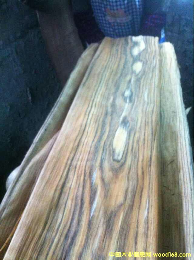 ������ľľƤ  �Ҿ�ľƤ��Ԕ����B