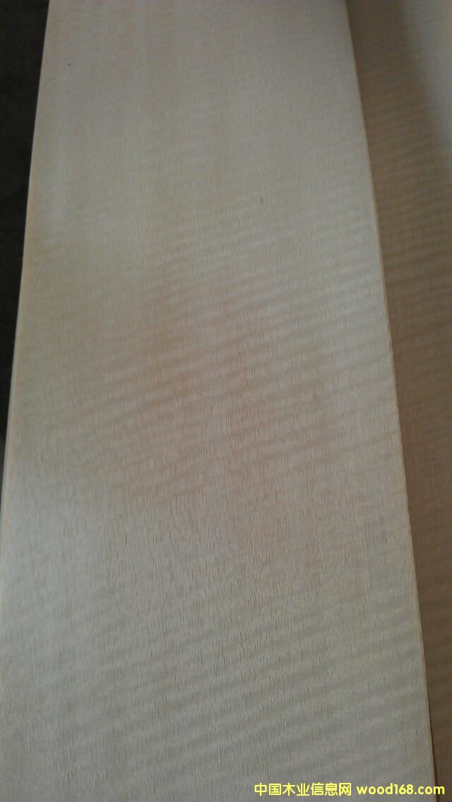 ���ް�ӰľƤ  �b�ľƤ��Ԕ����B