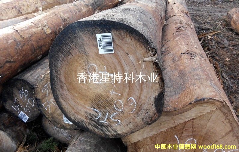 �y픰�Ϟ��ԭľ