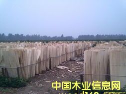 ��ľ�Aо��Ԕ����B