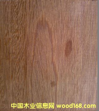 ����կ ��ľ�����}��