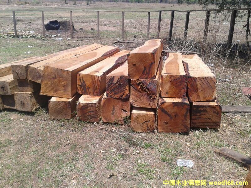 �B(ni��o)����̴��Ԕ��(x��)��B