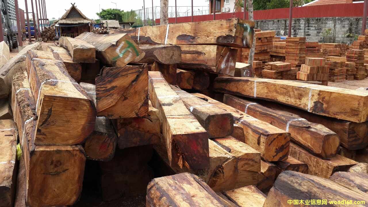 �L(zh��ng)�ڹ���(y��ng)�ϓ뻨�棨�����̴����Ԕ��(x��)��B