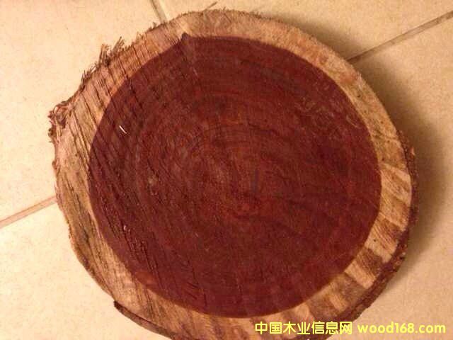 ٝ�ȁ�Ѫ̴ԭľ��Ԕ��(x��)��B