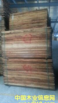 ����ľ��Ԕ����B