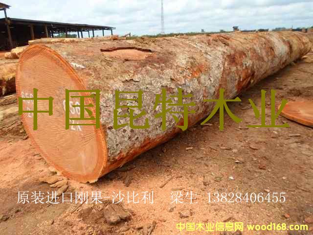 ���ބ���-ɳ������Ԕ��(x��)��B