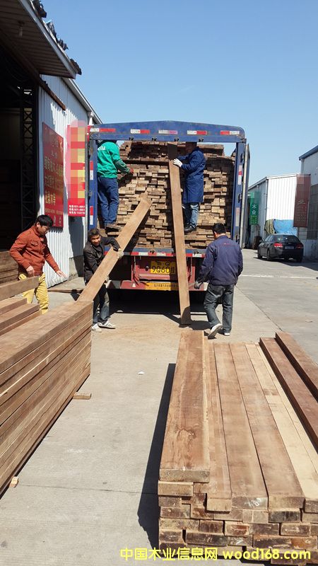 ������ľ