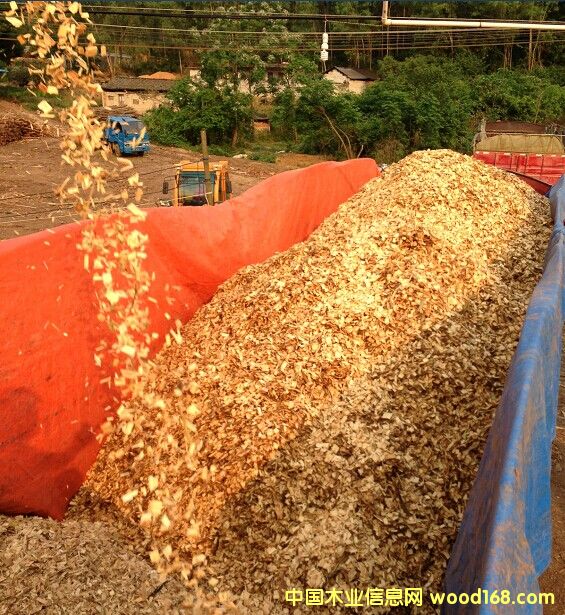 ���ȥƤľƬ��Ԕ��(x��)��B