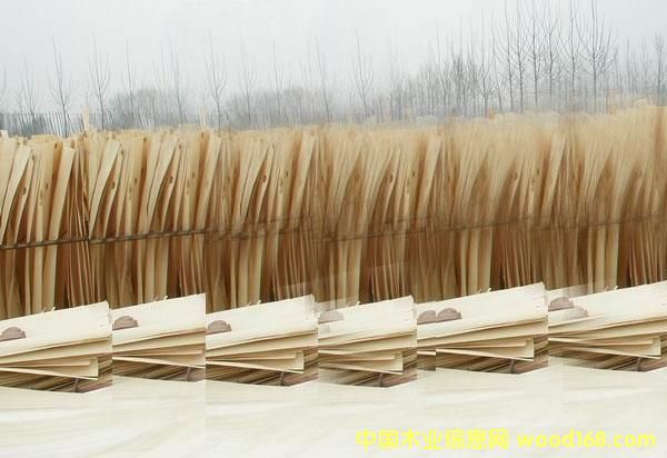 �ؼ���ľ�ΰ��Ԕ����B