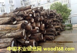 ����С�u�� ԭľ