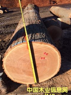 �t���Ԕ��(x��)��B