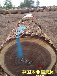 �ں��ҵ�Ԕ��(x��)��B