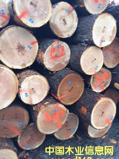 ����ľ��Ԕ��(x��)��B