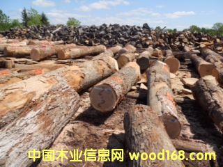 �����Ԕ��(x��)��B