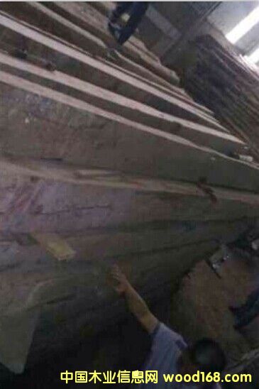 �ϓ��t��֦��Ԕ����B