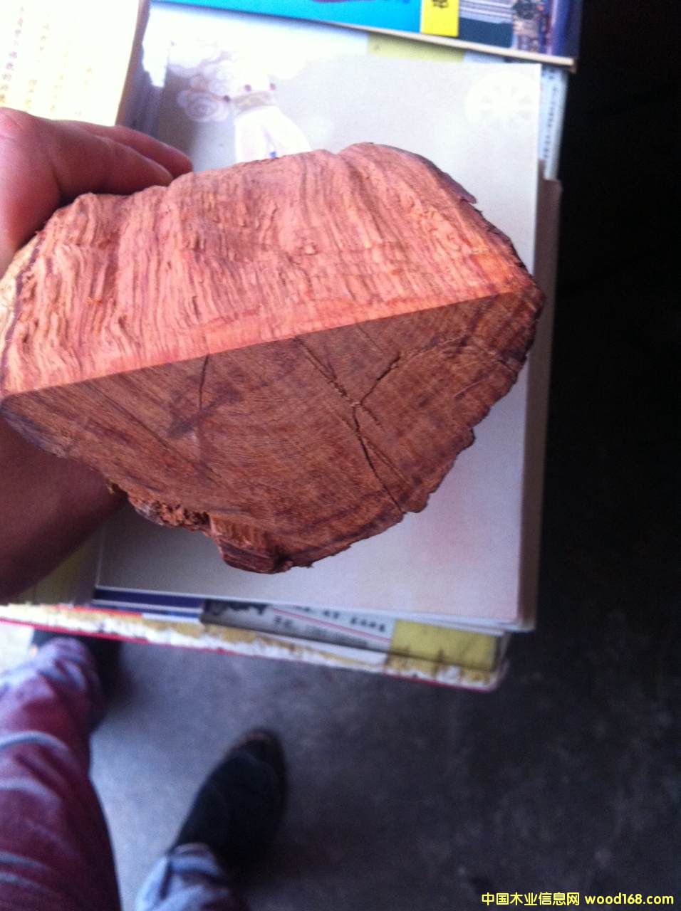 �ϓ�ݻ����Ԕ����B