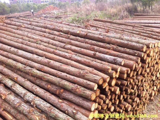 ɼԭľ��Ԕ��(x��)��B