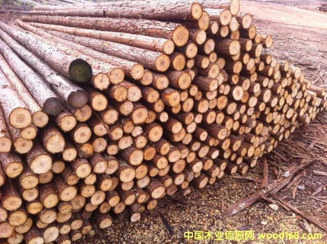 ɼԭľ��Ԕ��(x��)��B