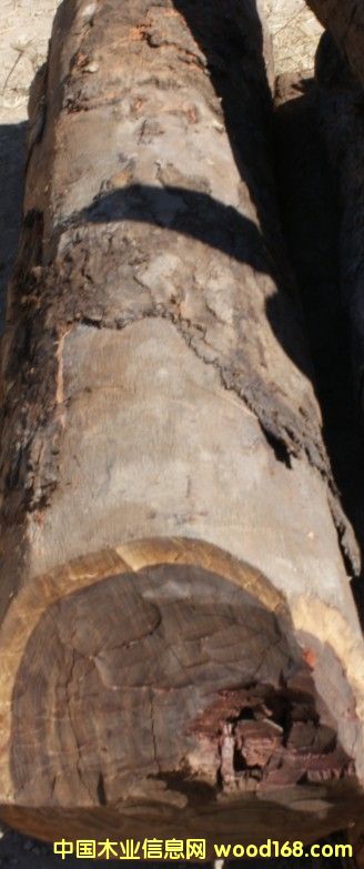 Ѫ̴��Ԕ��(x��)��B