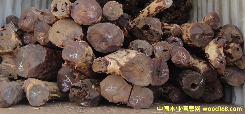 Ѫ̴��Ԕ��(x��)��B