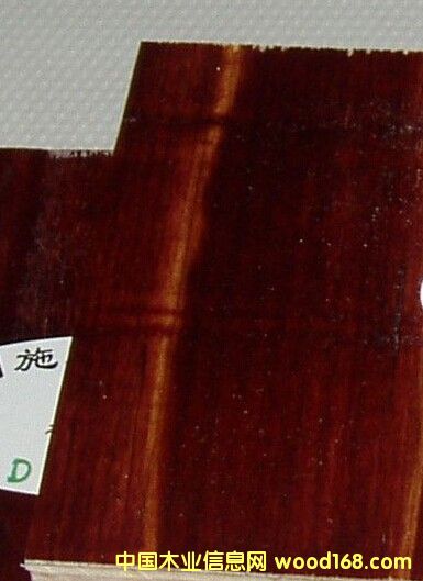 ��ȩ�z����ģ��