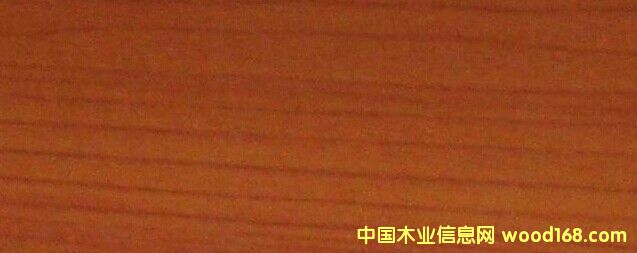 ��(x��)ľ���p�N�����