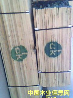 �������t������ľ������ľ���ں���ľ������S��ȵ�Ԕ����B