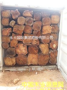 �ȽB-�����S����/�����̴/���ށ����� KOSSO��Ԕ����B