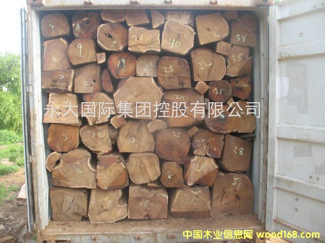 �Ӽ{ - �����S����/�����̴/���ށ����� KOSSO��Ԕ����B