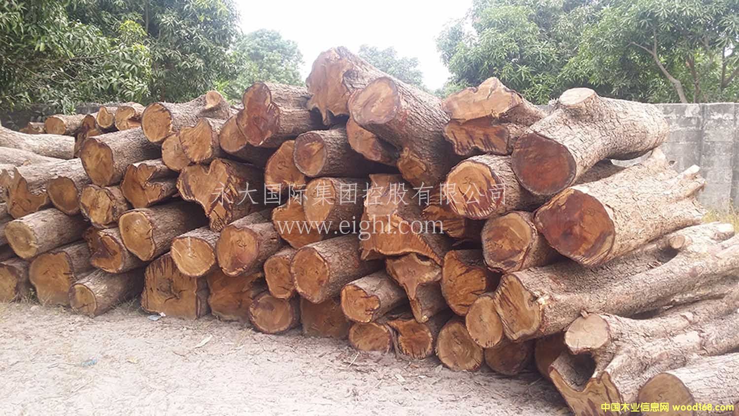 ���ȁ�-���ށ�����/�S����/���S/�����̴/��Ԕ����B