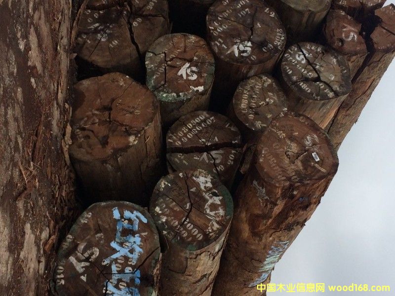 �tõ���Ԕ��(x��)��B