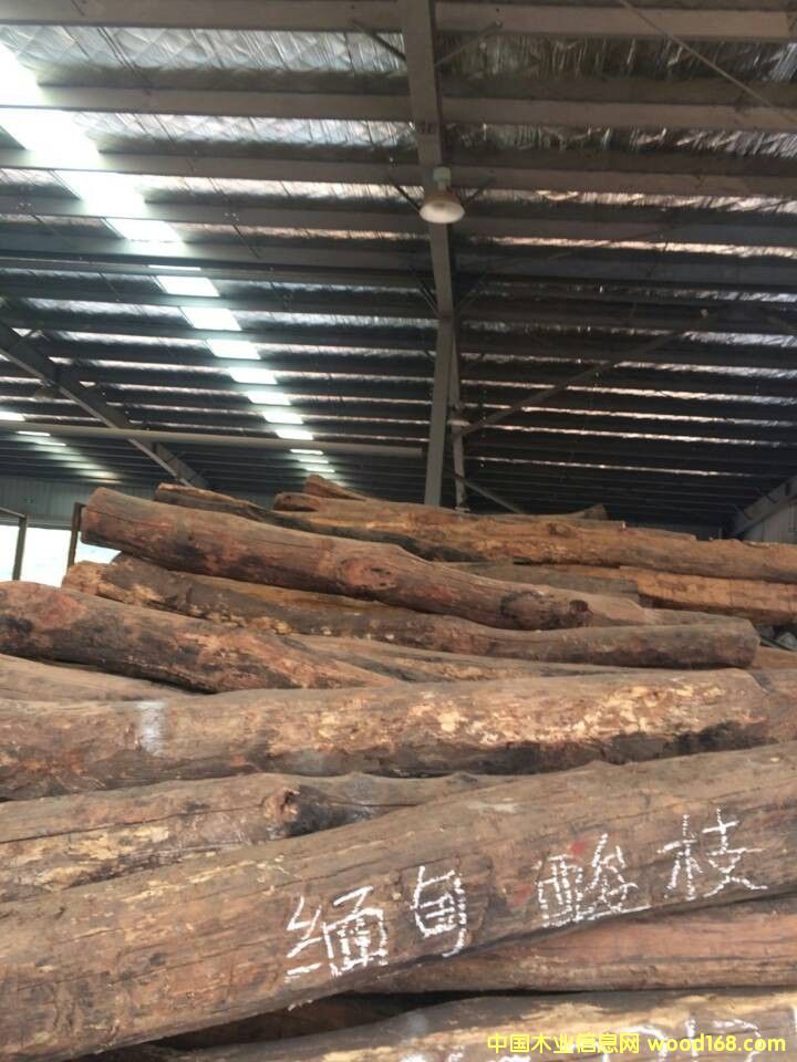 ������֦��Ԕ��(x��)��B