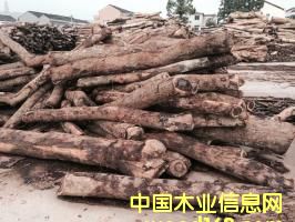 ����С�~��̴��Ԕ��(x��)��B