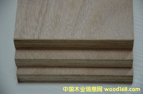 �oȩ�����b���z�ϰ��Ԕ����B