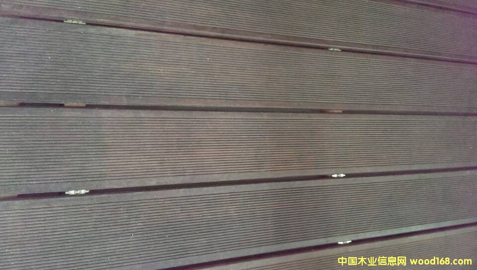 ������ذ�