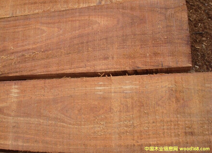 ��֬���� ˮ��